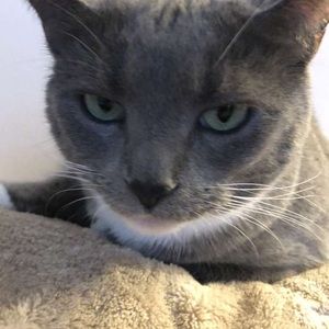 Meet your Posher, Erick